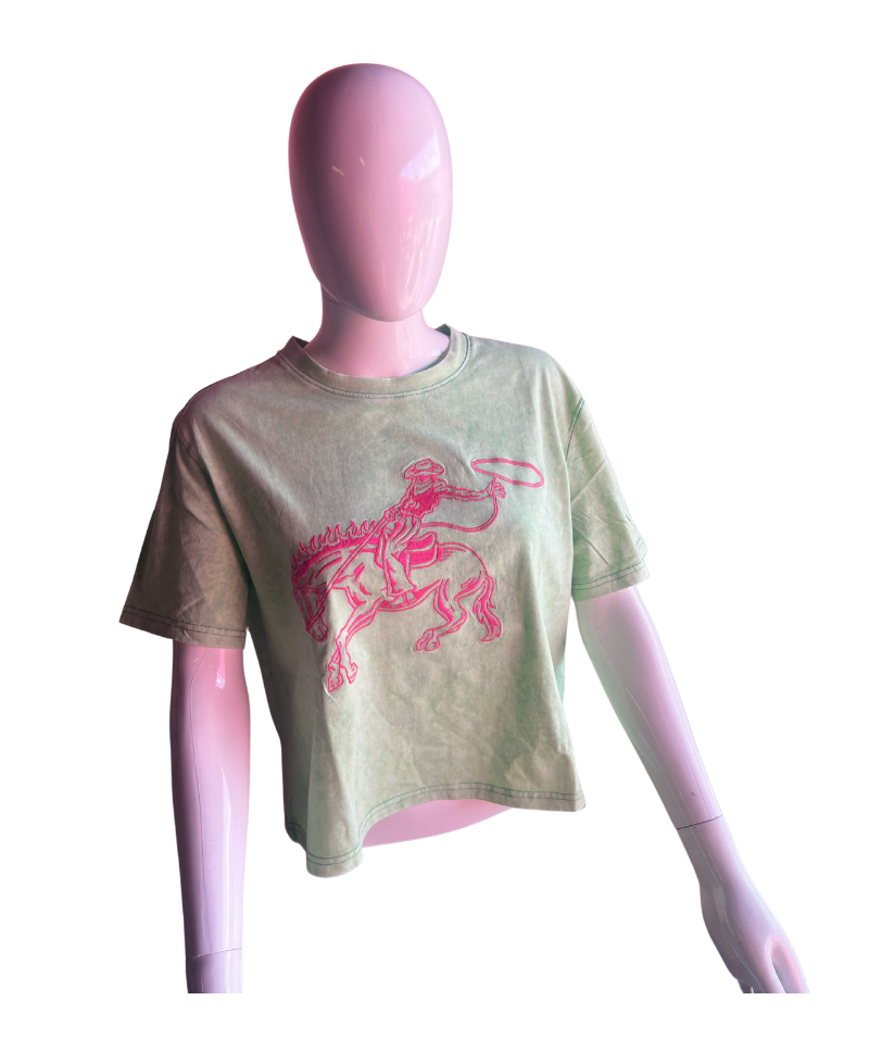 Neon embroidered Country crop tee